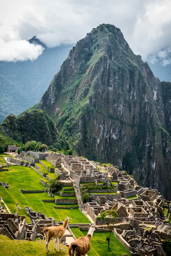 machupicchu (13)